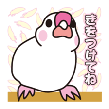 Bird sticker[torisuta]Vol.2 sticker #14288135