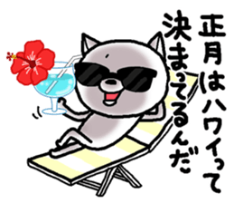 Escape cat5 sticker #14290580