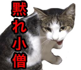 asari sakaguchi sticker sticker #14292682