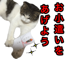 asari sakaguchi sticker sticker #14292684