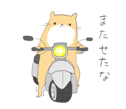 Kawauso the cute sticker #14293270