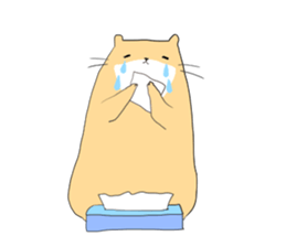 Kawauso the cute sticker #14293307