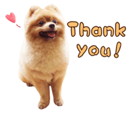 Wang Wang woof! woof!(English Ver) sticker #14296630