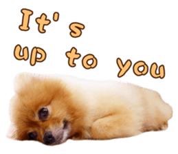 Wang Wang woof! woof!(English Ver) sticker #14296637