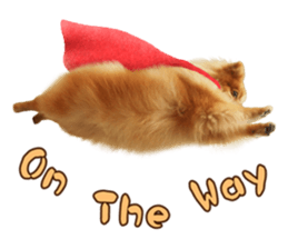 Wang Wang woof! woof!(English Ver) sticker #14296643