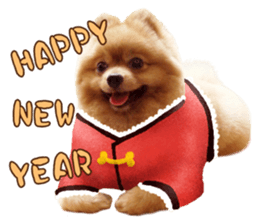 Wang Wang woof! woof!(English Ver) sticker #14296648