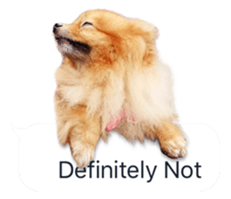 Wang Wang woof! woof!(English Ver) sticker #14296656