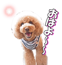 natsunatsufan sticker #14296934