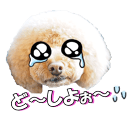 natsunatsufan sticker #14296936