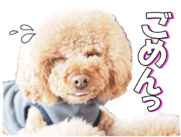 natsunatsufan sticker #14296937