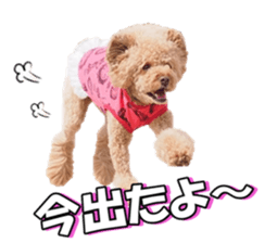 natsunatsufan sticker #14296938