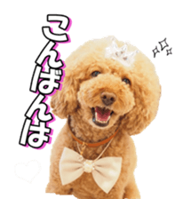 natsunatsufan sticker #14296939