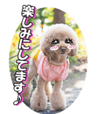 natsunatsufan sticker #14296940