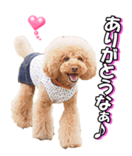 natsunatsufan sticker #14296941