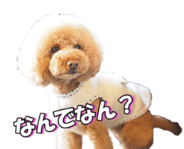 natsunatsufan sticker #14296942