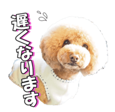 natsunatsufan sticker #14296943