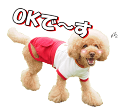 natsunatsufan sticker #14296944