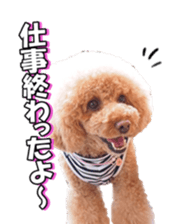 natsunatsufan sticker #14296946