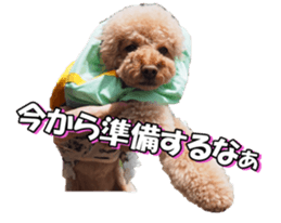 natsunatsufan sticker #14296948