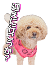 natsunatsufan sticker #14296949