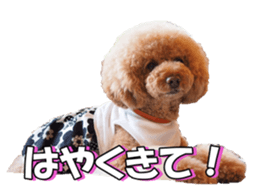 natsunatsufan sticker #14296951