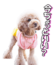 natsunatsufan sticker #14296952