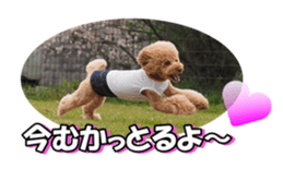 natsunatsufan sticker #14296956