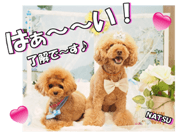 natsunatsufan sticker #14296957