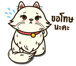 Persian Cute Cat sticker #14298228