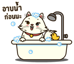 Persian Cute Cat sticker #14298229