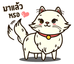 Persian Cute Cat sticker #14298232