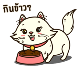 Persian Cute Cat sticker #14298246