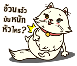 Persian Cute Cat sticker #14298247