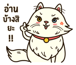 Persian Cute Cat sticker #14298251