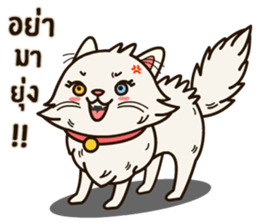 Persian Cute Cat sticker #14298252