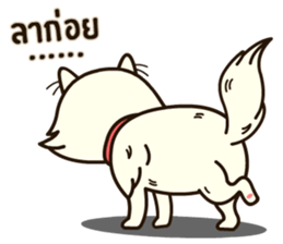 Persian Cute Cat sticker #14298261