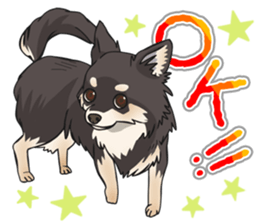 I Love Chihuahua Sticker(Black Tan) sticker #14301166