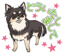 I Love Chihuahua Sticker(Black Tan) sticker #14301172