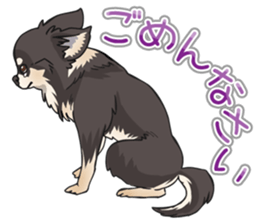 I Love Chihuahua Sticker(Black Tan) sticker #14301173