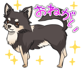 I Love Chihuahua Sticker(Black Tan) sticker #14301175