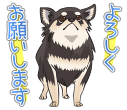 I Love Chihuahua Sticker(Black Tan) sticker #14301176