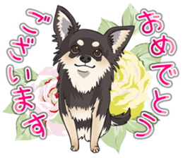 I Love Chihuahua Sticker(Black Tan) sticker #14301177