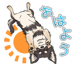 I Love Chihuahua Sticker(Black Tan) sticker #14301178