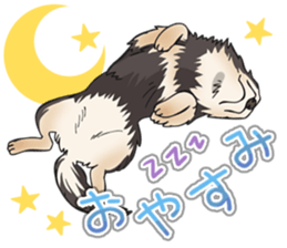 I Love Chihuahua Sticker(Black Tan) sticker #14301179