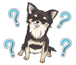 I Love Chihuahua Sticker(Black Tan) sticker #14301182