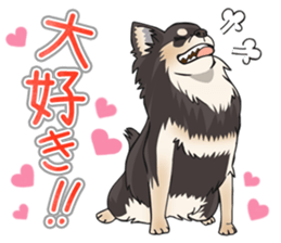 I Love Chihuahua Sticker(Black Tan) sticker #14301184