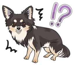 I Love Chihuahua Sticker(Black Tan) sticker #14301188