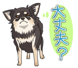 I Love Chihuahua Sticker(Black Tan) sticker #14301191
