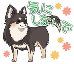 I Love Chihuahua Sticker(Black Tan) sticker #14301193