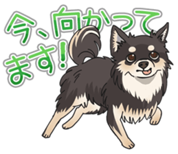 I Love Chihuahua Sticker(Black Tan) sticker #14301195